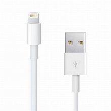 ��� ����� ����� ������� IPHONE USB LIGHTNING ��� 1 ���