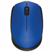 ���� ������ Logitech M171  � ��� ����