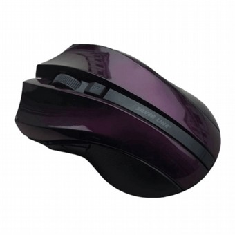 ���� ������ RF-317PU ��� ���� SILVERLINE