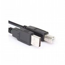 ��� ������ USB-A ��� �USB-B ��� ���� 3 �` GOLD TOUCH PRINT 