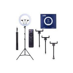 ���� ����� ����